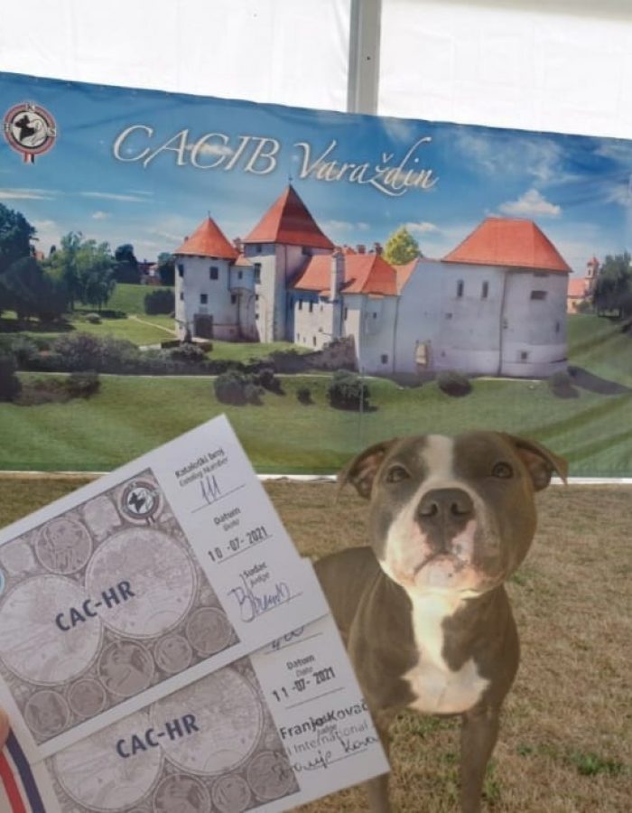 cacib varazdin cacib varazdin