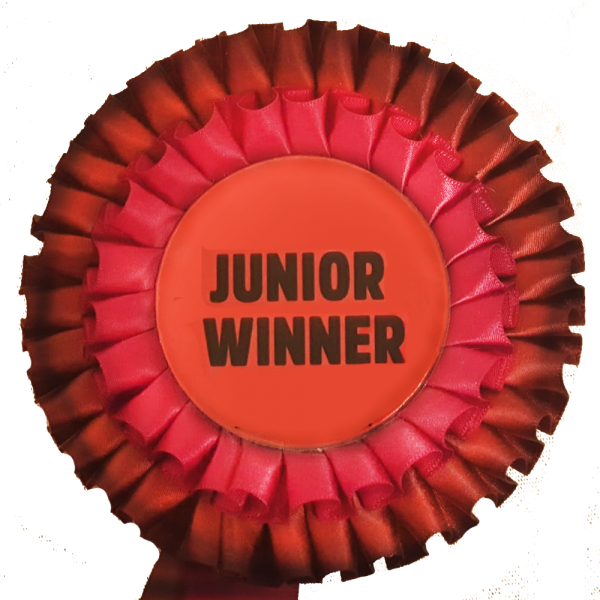 zg-junior-winner1.png